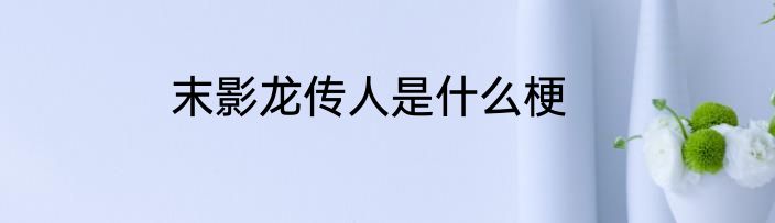 末影龙传人是什么梗