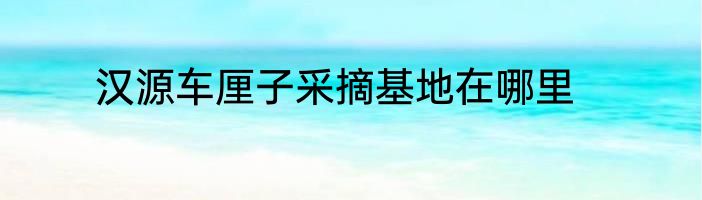 汉源车厘子采摘基地在哪里