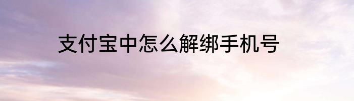 支付宝中怎么解绑手机号