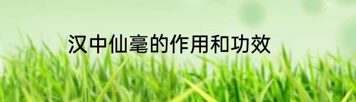 汉中仙毫的作用和功效