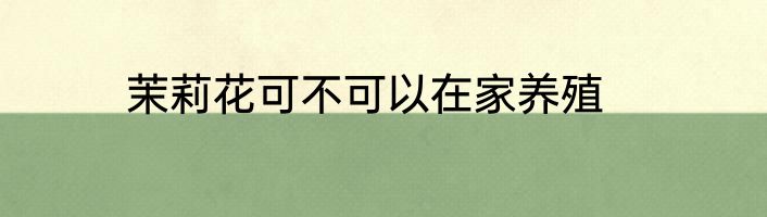 茉莉花可不可以在家养殖