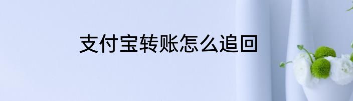 支付宝转账怎么追回