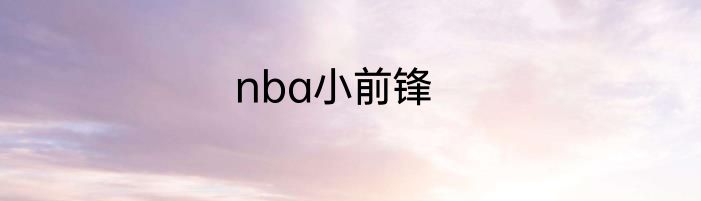 nba小前锋