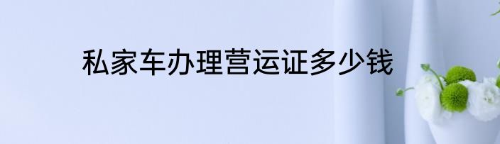 私家车办理营运证多少钱