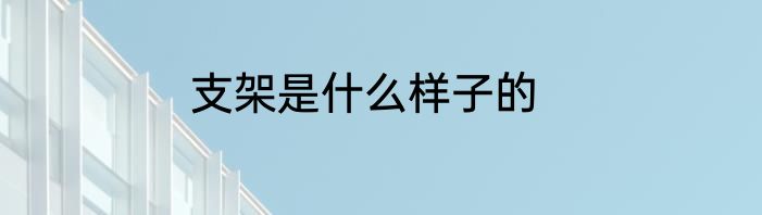 支架是什么样子的