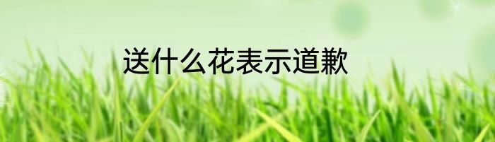 送什么花表示道歉