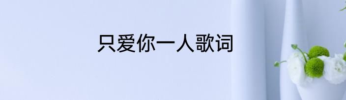 只爱你一人歌词