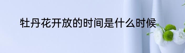 牡丹花开放的时间是什么时候