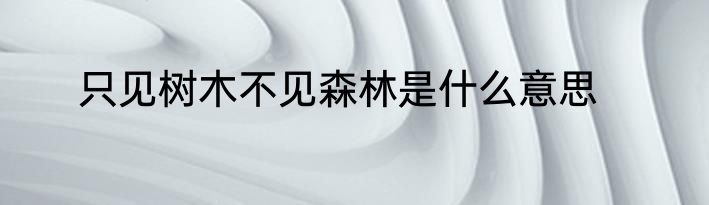 只见树木不见森林是什么意思
