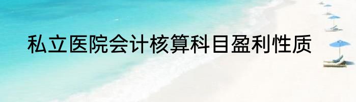 私立医院会计核算科目盈利性质