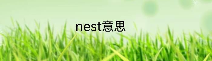 nest意思