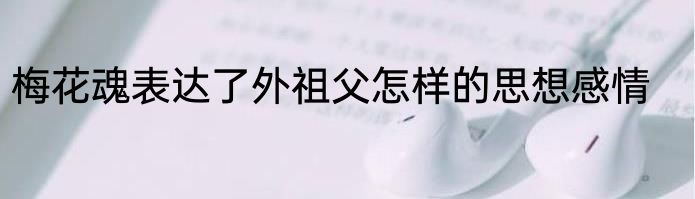 梅花魂表达了外祖父怎样的思想感情