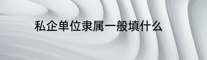 私企单位隶属一般填什么