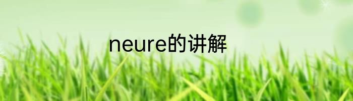neure的讲解