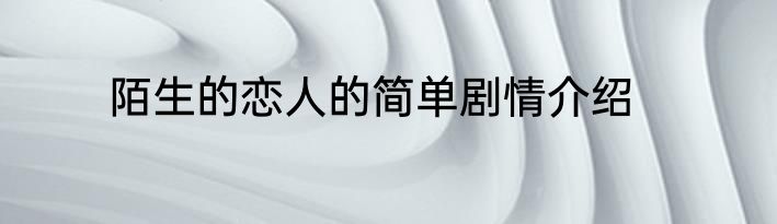 陌生的恋人的简单剧情介绍