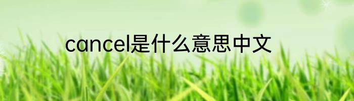 cancel是什么意思中文