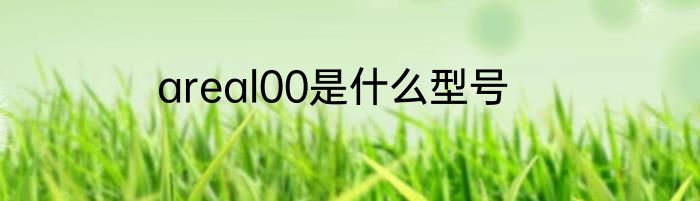 areal00是什么型号