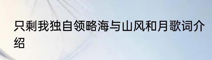只剩我独自领略海与山风和月歌词介绍