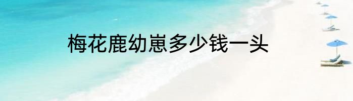 梅花鹿幼崽多少钱一头