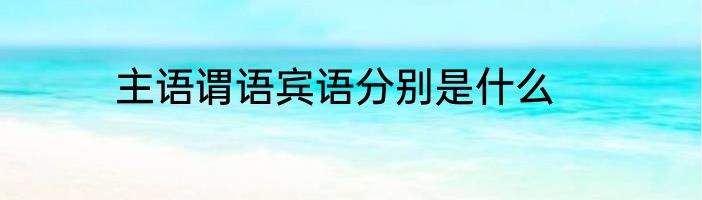 主语谓语宾语分别是什么