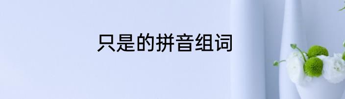 只是的拼音组词