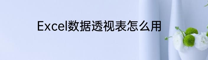 Excel数据透视表怎么用