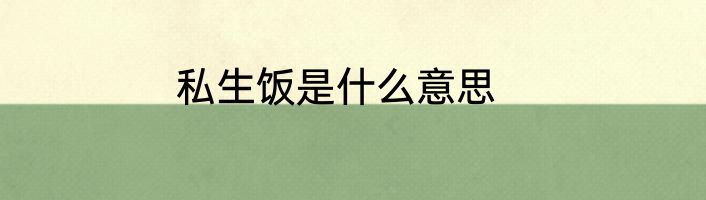 私生饭是什么意思