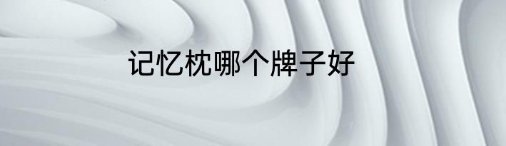 记忆枕哪个牌子好