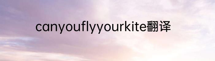 canyouflyyourkite翻译