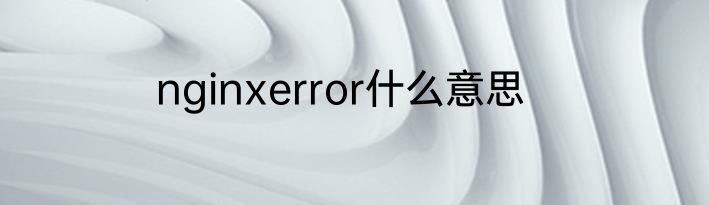 nginxerror什么意思