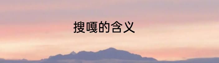 搜嘎的含义