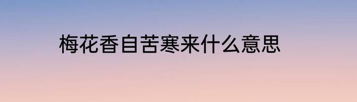 梅花香自苦寒来什么意思