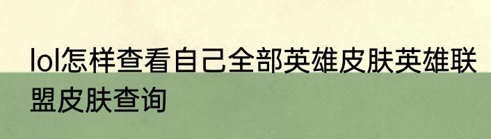 lol怎样查看自己全部英雄皮肤英雄联盟皮肤查询