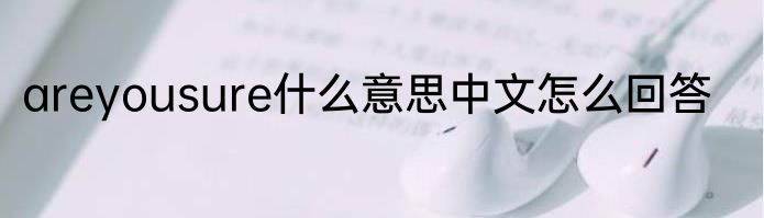 areyousure什么意思中文怎么回答