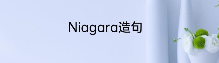 Niagara造句