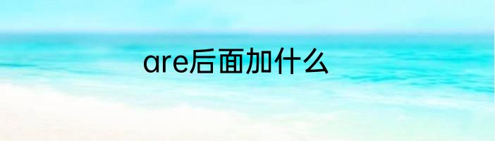 are后面加什么