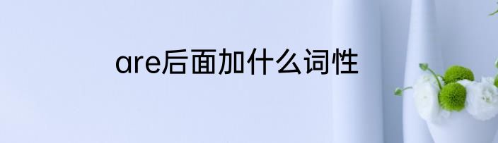 are后面加什么词性