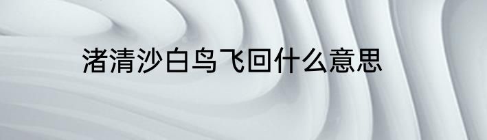 渚清沙白鸟飞回什么意思