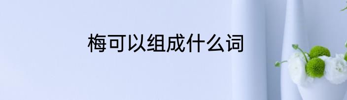 梅可以组成什么词