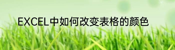 EXCEL中如何改变表格的颜色