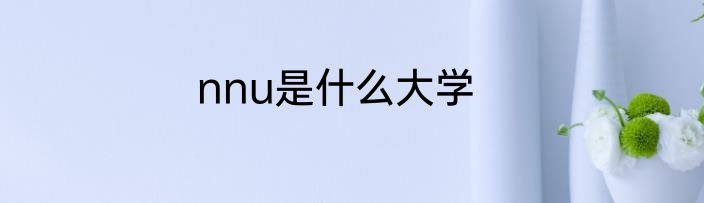 nnu是什么大学