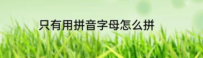 只有用拼音字母怎么拼