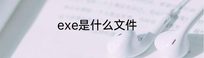 exe是什么文件