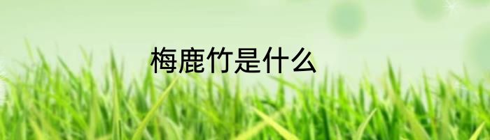 梅鹿竹是什么