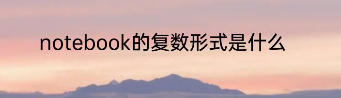 notebook的复数形式是什么