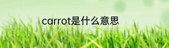 carrot是什么意思