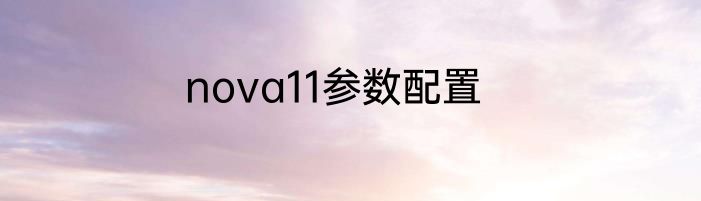 nova11参数配置