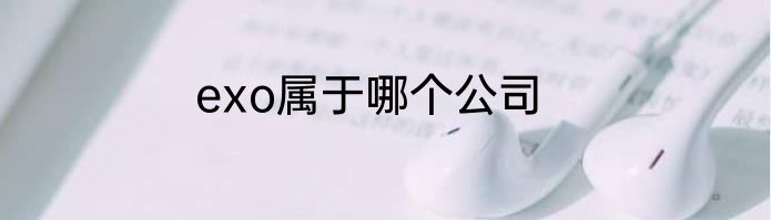 exo属于哪个公司
