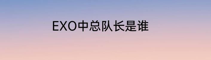 EXO中总队长是谁