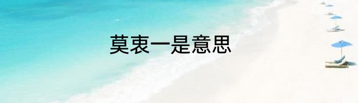 莫衷一是意思